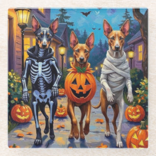 Thai Ridgeback Halloween-Kostüm beim Trick-or-Trea Glasuntersetzer