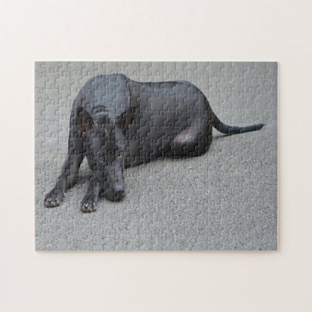 Thai Ridgeback Hunde Jigsaws. (Horizontal)
