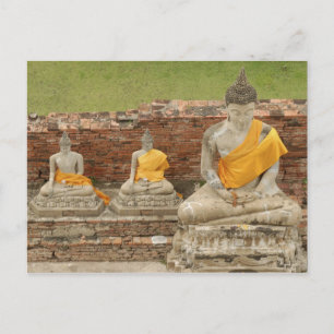 Thailand, Ayutthaya. Statuen sitzender Buddhas Postkarte
