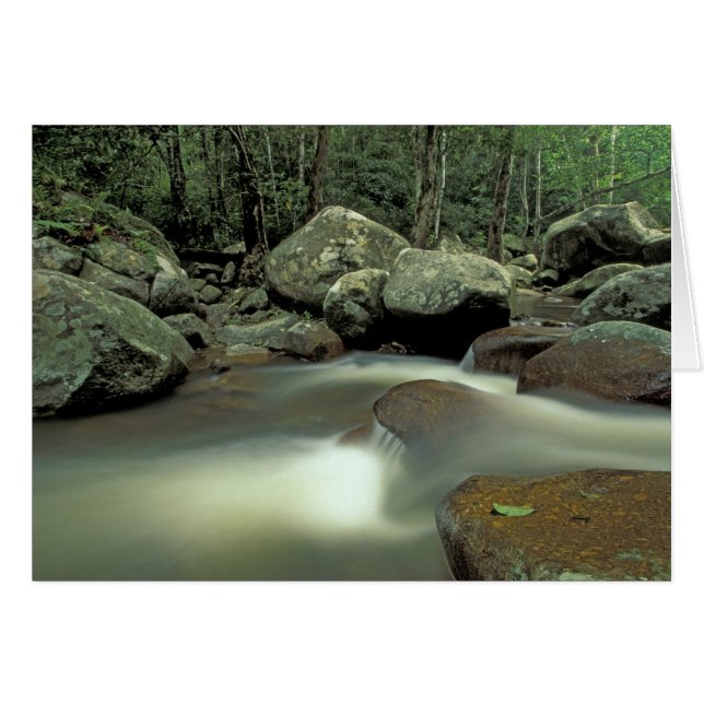 Thailand, Kohsamui Insel, Regenwaldlandschaft. (Vorderseite (Horizontal))