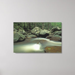 Thailand, Kohsamui-Insel, Regenwaldlandschaft. Leinwanddruck