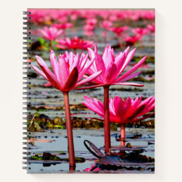 Thailand - Kumphawapi Lotus Lake Notizbuch