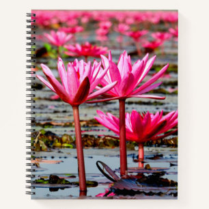 Thailand - Kumphawapi Lotus Lake Notizbuch