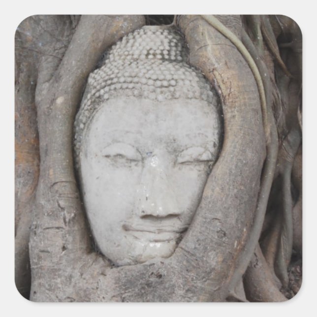Thailand Leiter von Buddha, umgeben von Bäumen Quadratischer Aufkleber (Vorderseite)