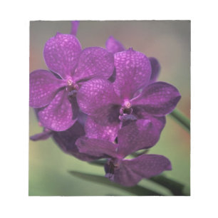 Thailand, Nordthailand, bei Chang Mai, Mae Notizblock