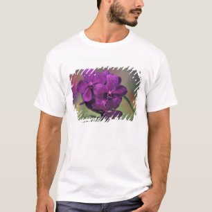 Thailand, Nordthailand, in der Nähe von Chang Mai T-Shirt