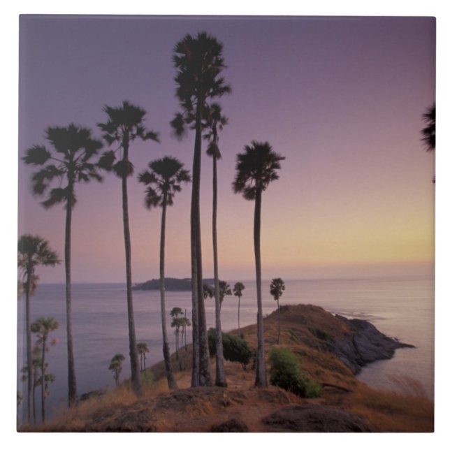 Thailand, Phuket Island. Fliese (Vorderseite)