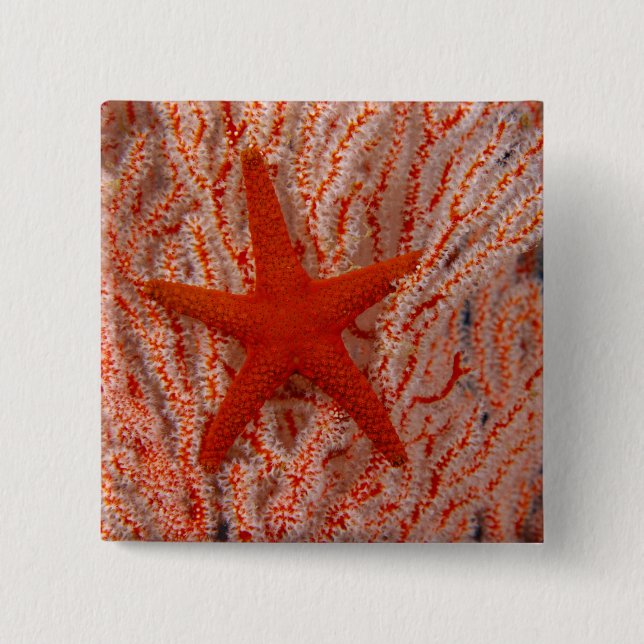 Thailand, Sea Star Aka Starfish Button (Vorderseite)