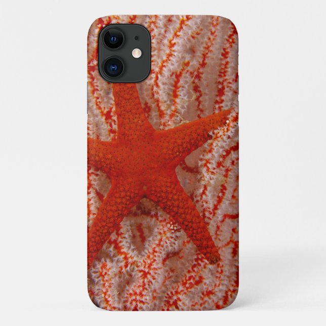 Thailand, Sea Star Aka Starfish Case-Mate iPhone Hülle (Rückseite)