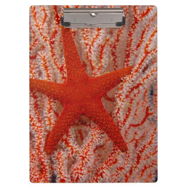 Thailand, Sea Star Aka Starfish Klemmbrett (Vorderseite)