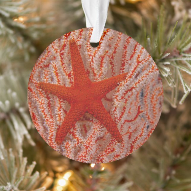 Thailand, Sea Star Aka Starfish Ornament (Baum)