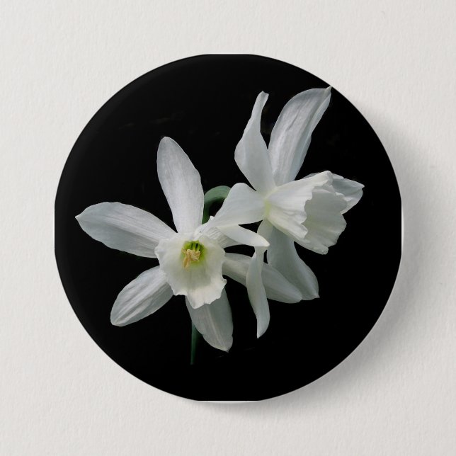 Thalia-Narzissen-Schwarzweiss-Narzissen-Knopf Button (Vorderseite)