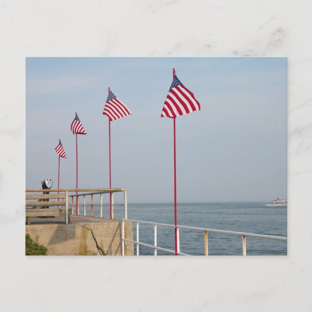 Thank Our Service Members 1 Postkarte (Vorderseite)