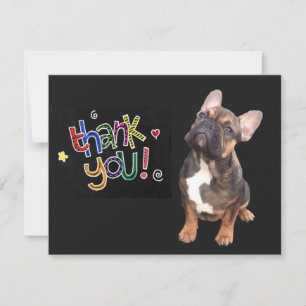 Thank you Carte postale bulldogue française