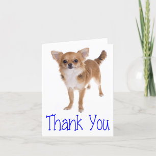 Thank You Chihuahua Puppy Dog Blank Notecard Dankeskarte