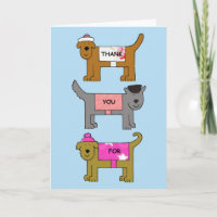 Thank you for looking after the dogs in clothes.