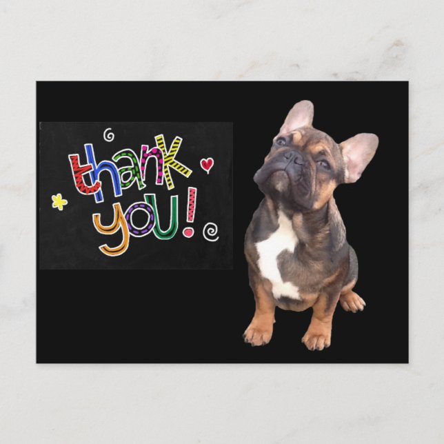 Thank you  Französische Bulldogge Postkarte (Vorderseite)