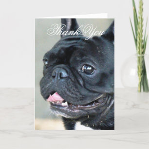 Thank You French Bulldog dog greeting card Dankeskarte