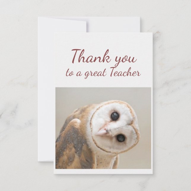Thank You Fun Curious Barn Owl Bird Teacher Dankeskarte (Vorderseite)