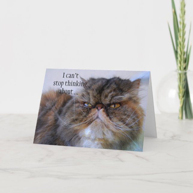 Thank You Persian Calico Kitty Princess Card Dankeskarte (Vorderseite)