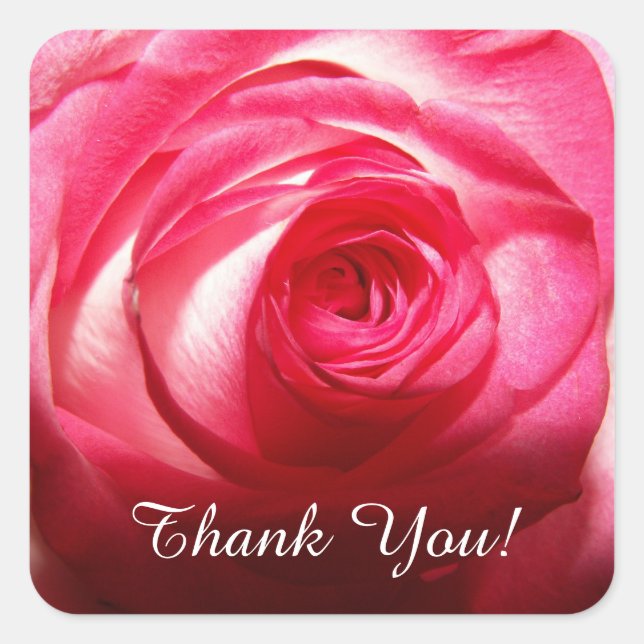 Thank You Rose Quadratischer Aufkleber (Vorderseite)