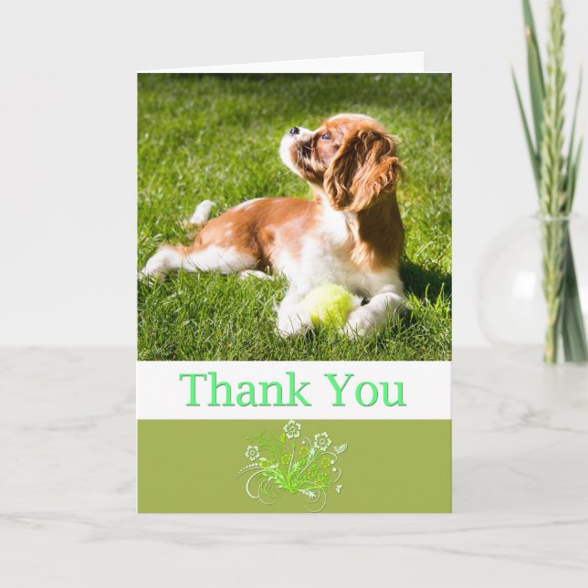 Thank You With Puppy Cavalier King Charles Card Dankeskarte (Vorderseite)