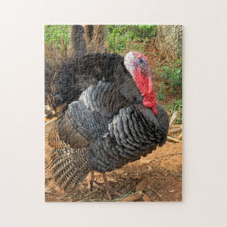 Thankgiving Turquie Puzzle