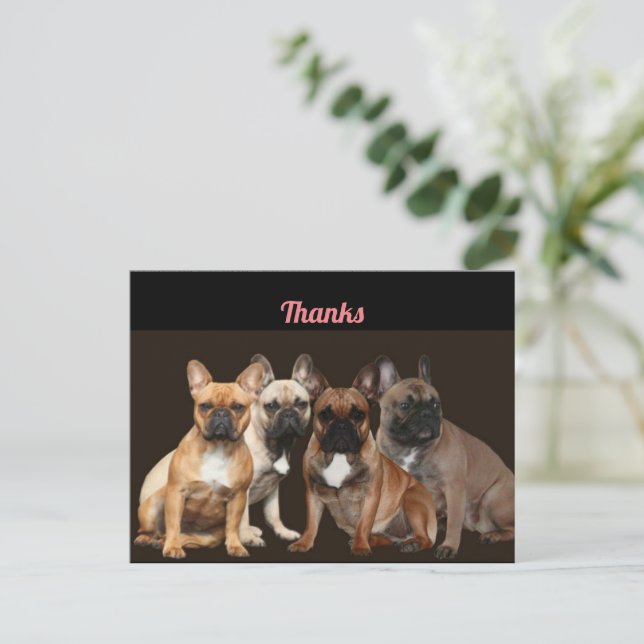 Thanks  Französische Bulldogge Postkarte (Stehend Vorderseite)