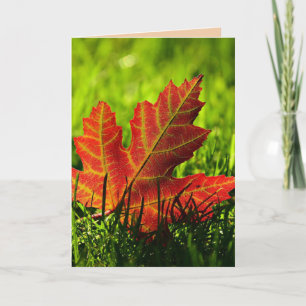 THANKSGIVING AUTOMNE LAISSE LA CARTE DE RECONNAISS
