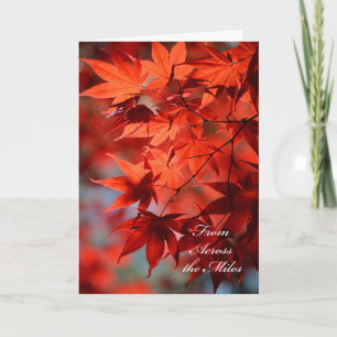 Thanksgiving de l'autre côté de la carte miles