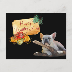 Thanksgiving Französische Bulldogge French Bulldog Postkarte