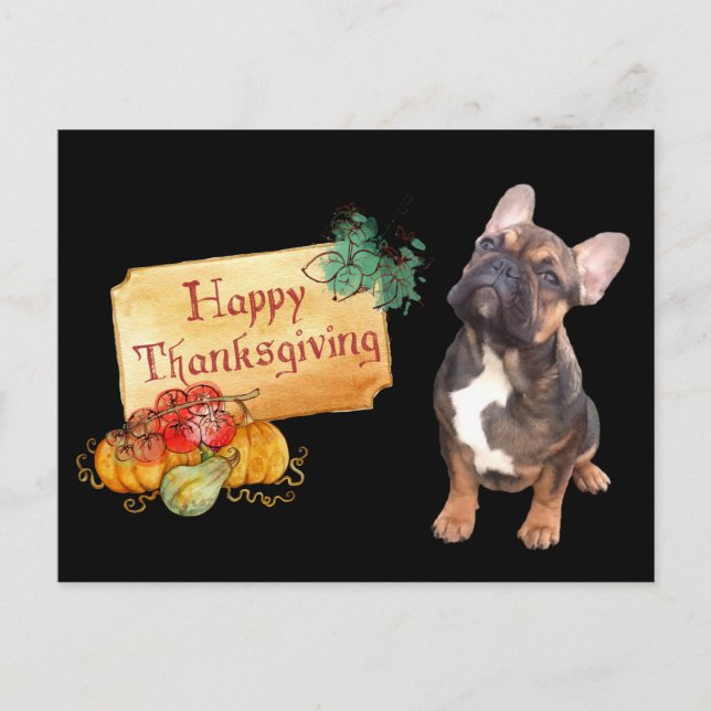 Thanksgiving Französische Bulldogge Postkarte (Vorderseite)