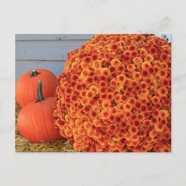 Thanksgiving Post Card Feiertagspostkarte (Vorderseite)
