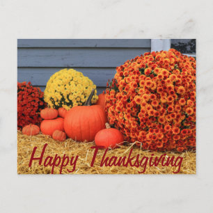 Thanksgiving Post Card Feiertagspostkarte