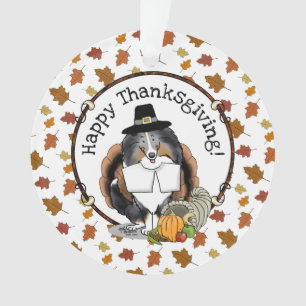 Thanksgiving Shetland Sheepdog (merle bleu) Drôle