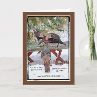 Thanksgiving Trio of Turkeys Card - Blessings Feiertagskarte
