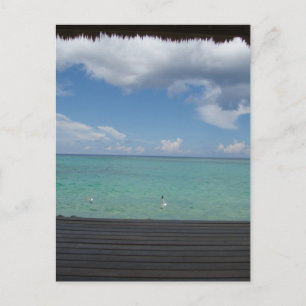 Thatched Cabana Postcard Postkarte