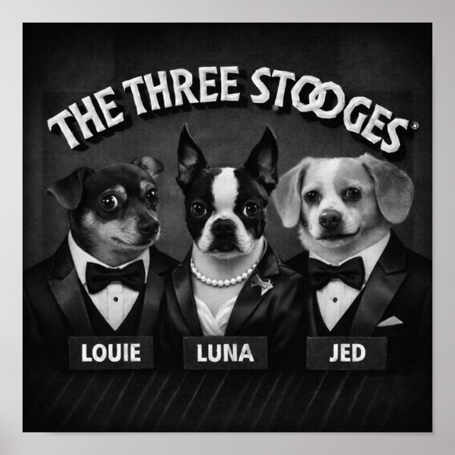 "The 2 Dooges" Poster (Vorne)