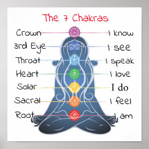 The 7 Chakras 12x12" Poster