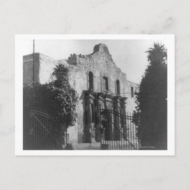 The Alamo in San Antonio, TX Foto #2 Postkarte (Vorderseite)