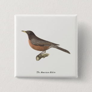 The American Robin (Turdus migratorius) NY Birds Button