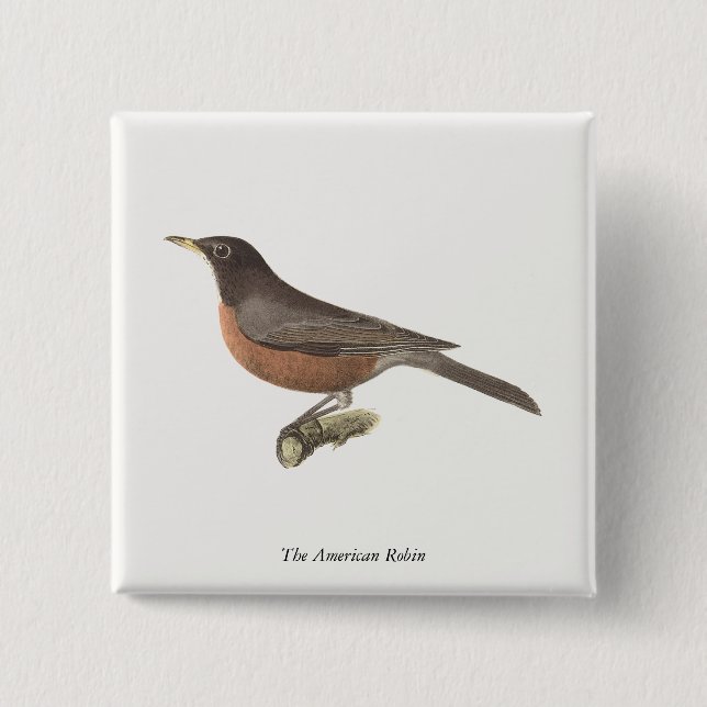 The American Robin (Turdus migratorius) NY Birds Button (Vorderseite)