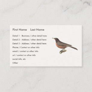 The American Robin (Turdus migratorius) NY Birds Visitenkarte