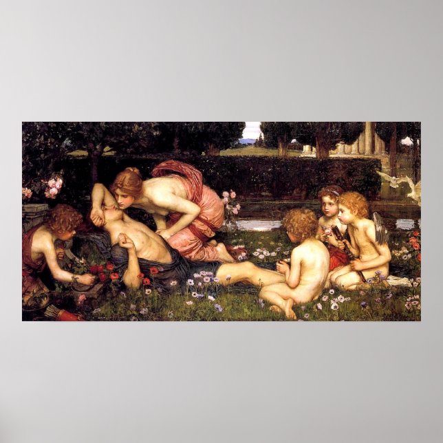 The Awakening of Adonis by John William Waterhouse Poster (Vorne)