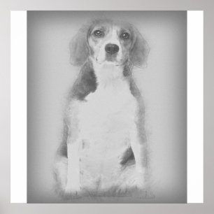 The Beagle Dog Is Drawn With A Pencil Poster