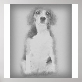 The Beagle Dog Is Drawn With A Pencil Poster