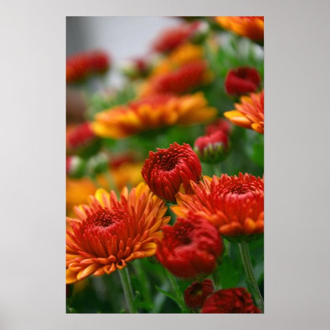 The Beauty of Fall Poster (Vorne)