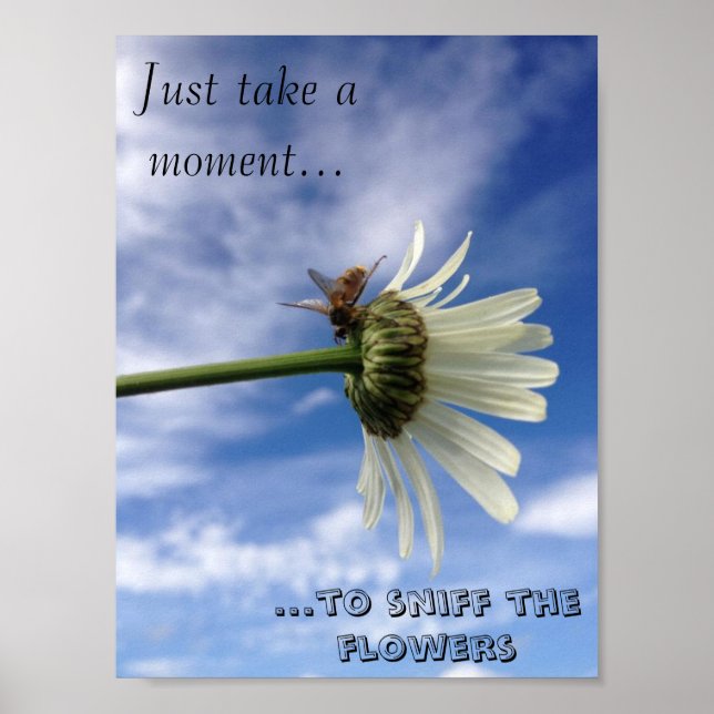 The Bee's Flower Poster (Vorne)