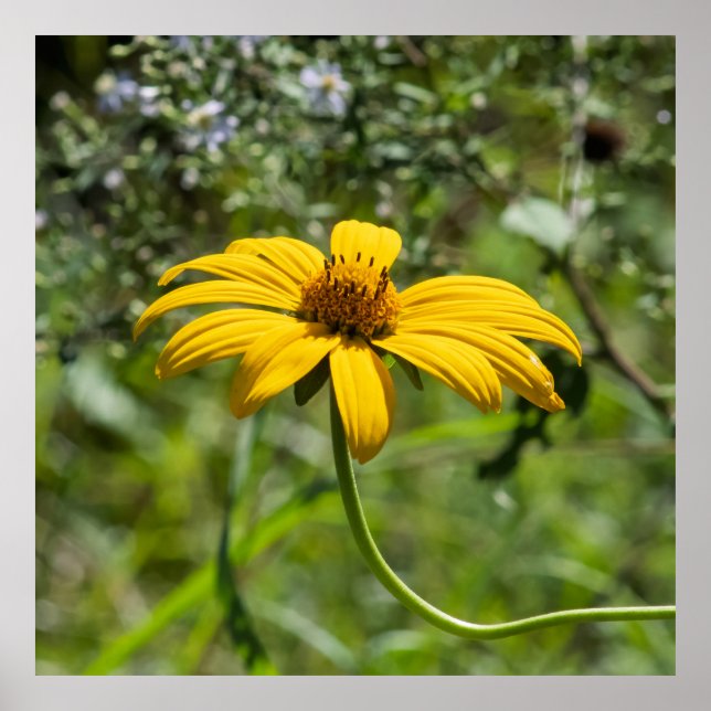 The Bend Floral Poster (Vorne)
