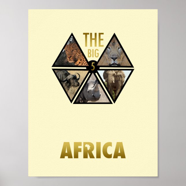The Big 5 Africa 11" x 8.5" Poster (Vorne)